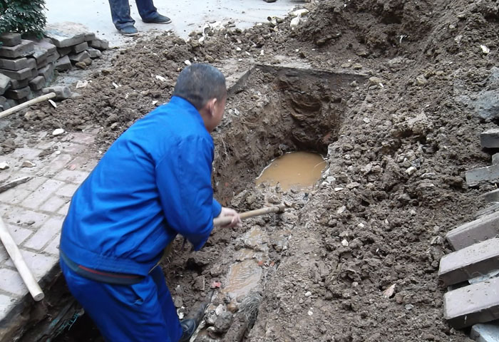 一路走來——記家樂園物業(yè)公司的變化