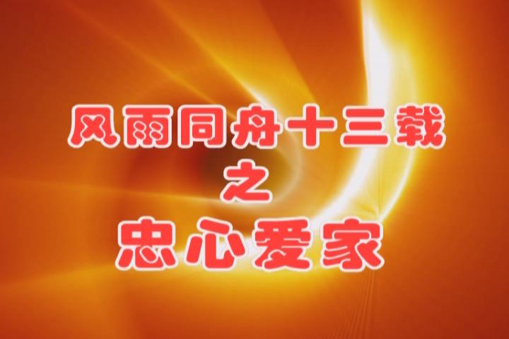 風雨同舟十三載之忠心愛家